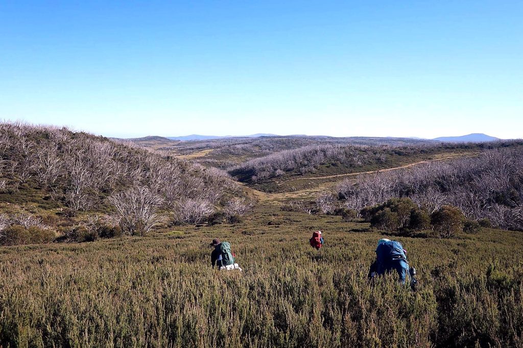 Hiker carrying a Flyte pack on an open ridge