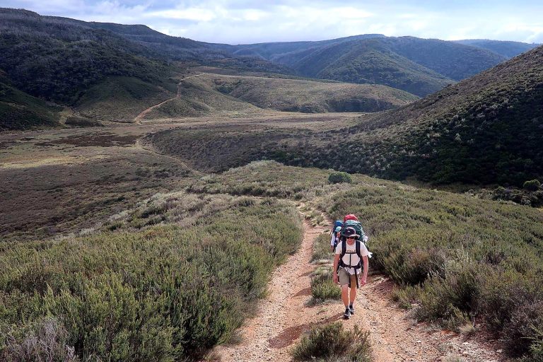 Hiker on a bush track carrying a hiking pack