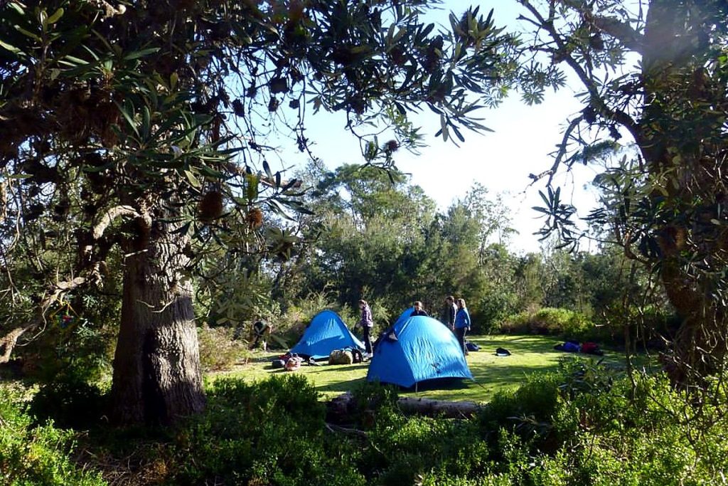 Tents pitched beside the Gippsland Lakes on a school camp