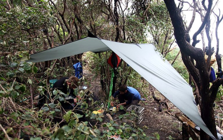 Group tarp rigged over a camp kitchen